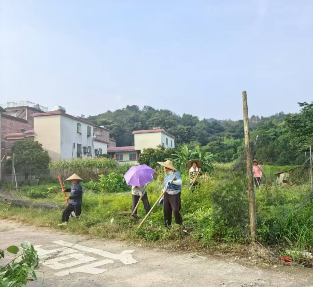 文章配图