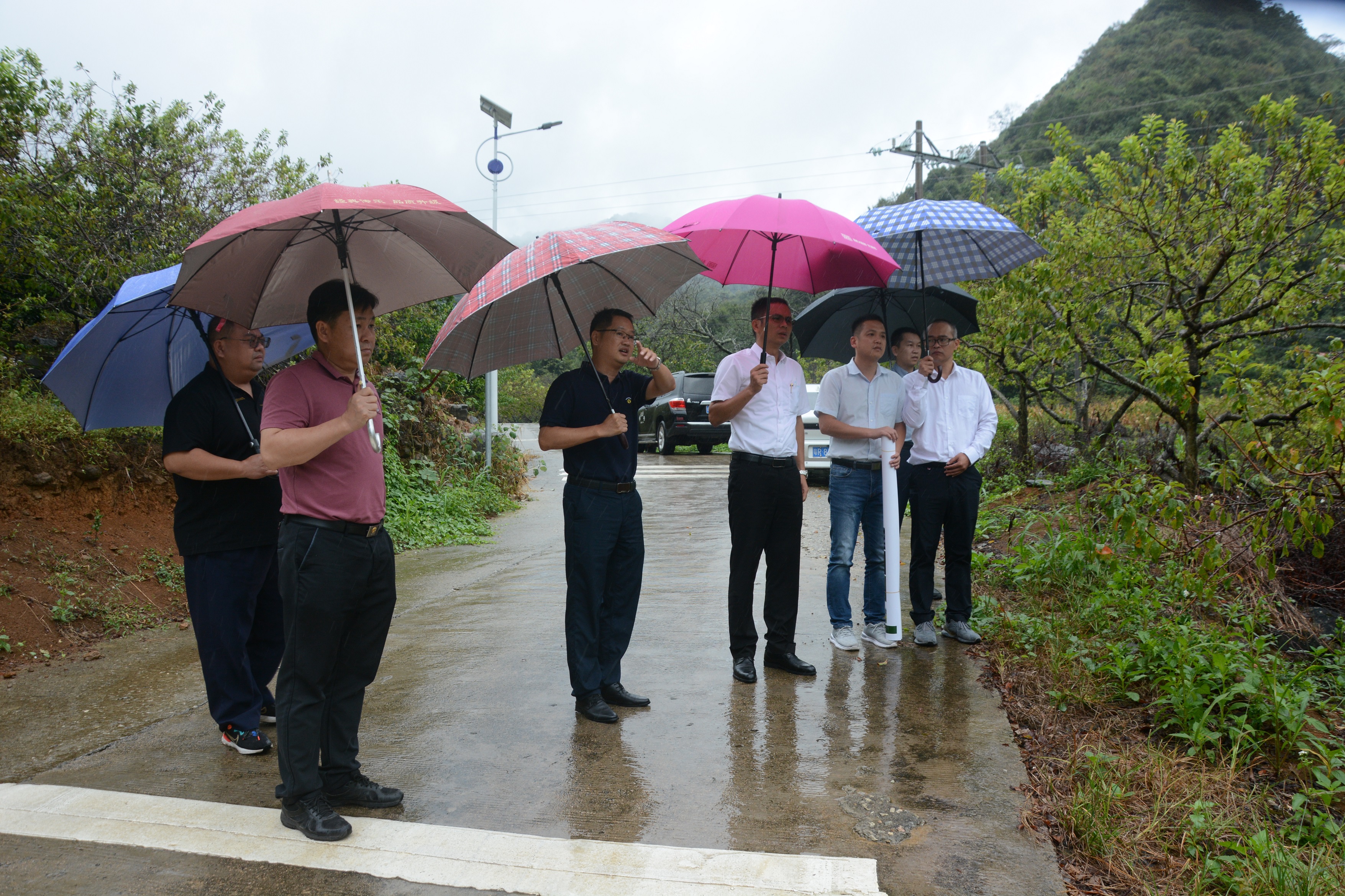 清远市驻阳山县工作组到杨梅镇调研指导乡村振兴及驻镇帮镇扶村工作